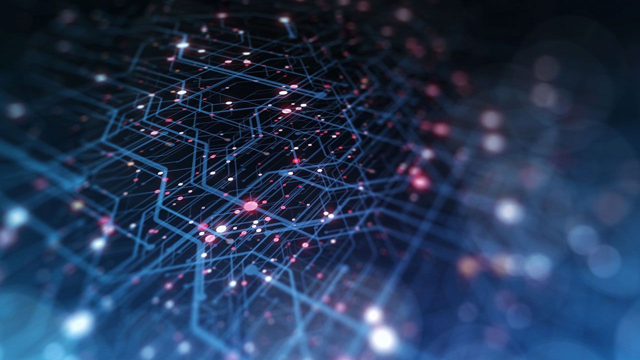 Образование вошло в число главных целей DDoS-атак